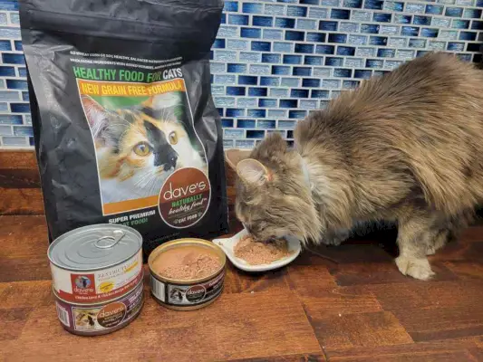 Dave's Pet Food Cat Food Review