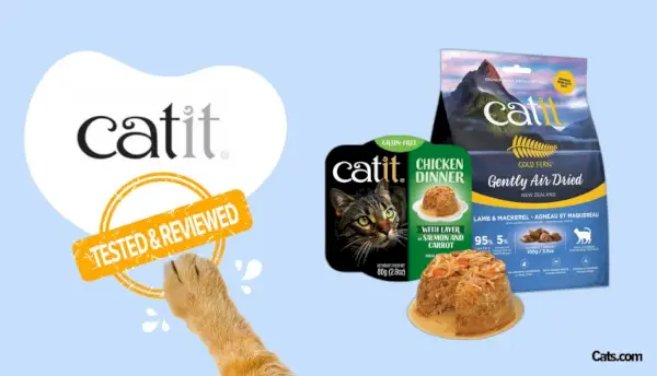 Revisió de la marca d'aliments per a gats Catit