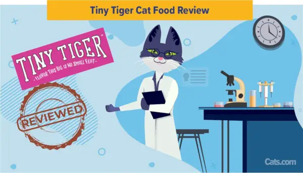 Revisão de comida de gato tigre minúsculo