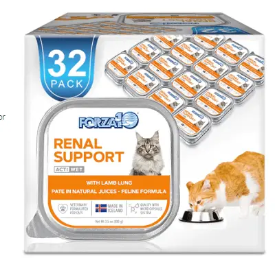 Forza10 Cat Food Review