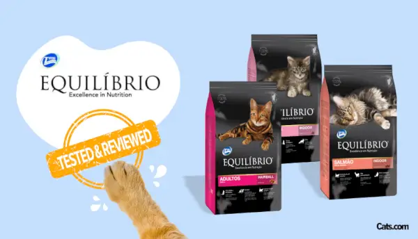 Equilibrio Cat Food Review