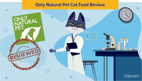 Kun Natural Pet Cat Food Review