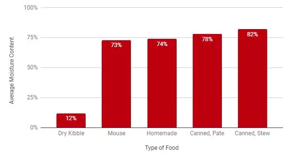 ¿Está bien alimentar a mi gato con comida casera para gatos?