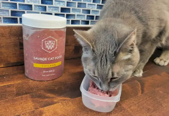 Savage Cat Food има фино смляна текстура, която е лесна за дъвчене от възрастни котки.