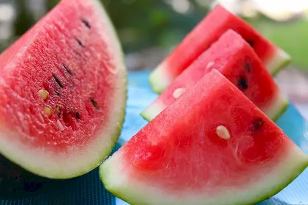 Nyfiken katt undersöker en skiva vattenmelon, vilket väcker intresse för okonventionella snacks.