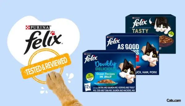 Revisão de comida de gato Felix