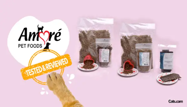 Amore Cat Food Review