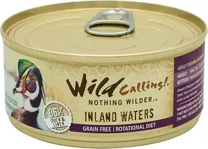 Wild Calling Cat Food Review – Avviklet