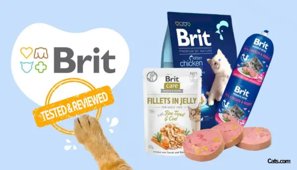 Examen de la marque de nourriture pour chats Brit