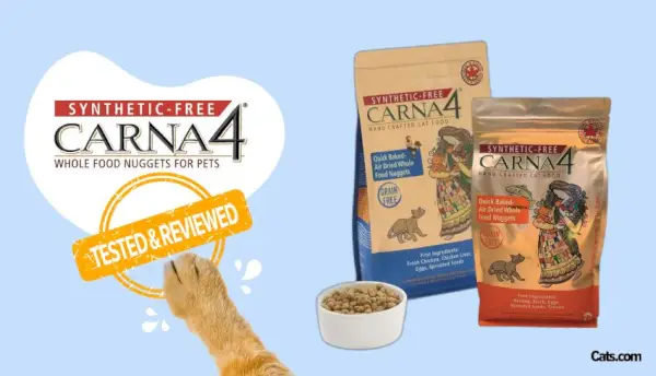 Avaliação da marca de comida para gatos Carna4