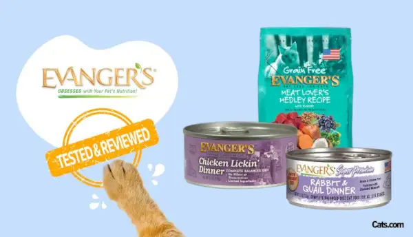 Evanger's Cat Food Review