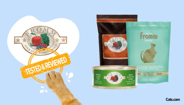 Fromm Cat Food Review