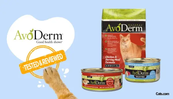 Avoderm Cat Food Brand Review