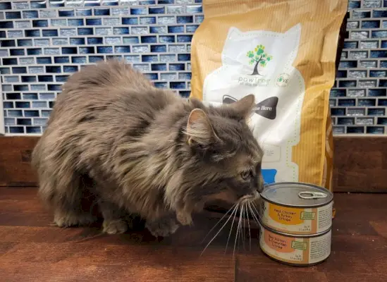 PawTree Cat Food Review