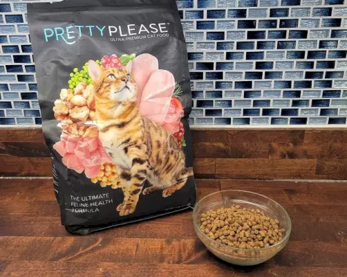 Pretty Please Cat Food Review