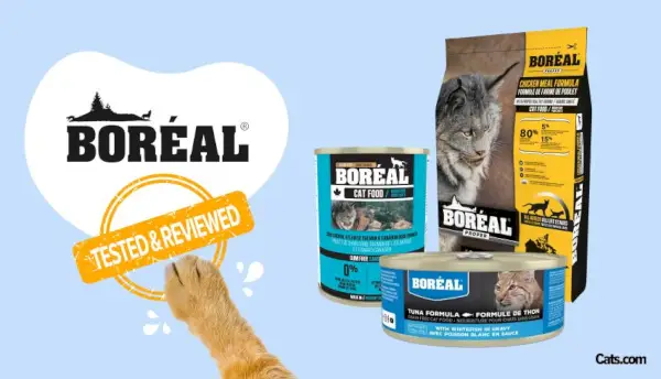 Boreal Cat Food Brand anmeldelse