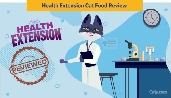 Examen des aliments pour chats Health Extension