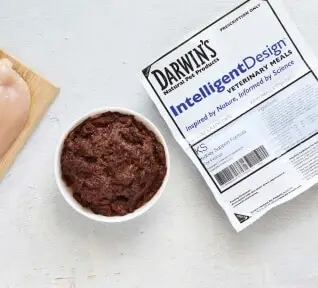 Darvinas