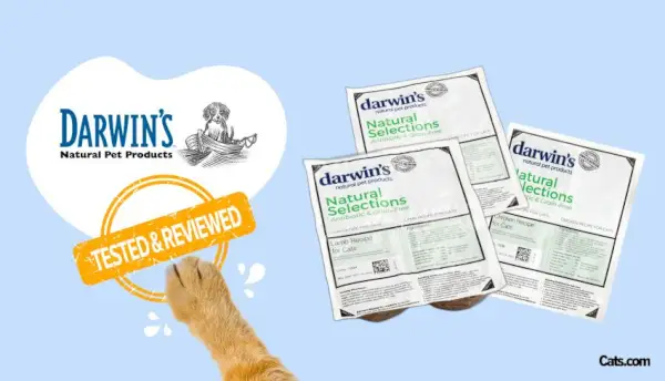 Examen des aliments naturels pour chats de Darwin