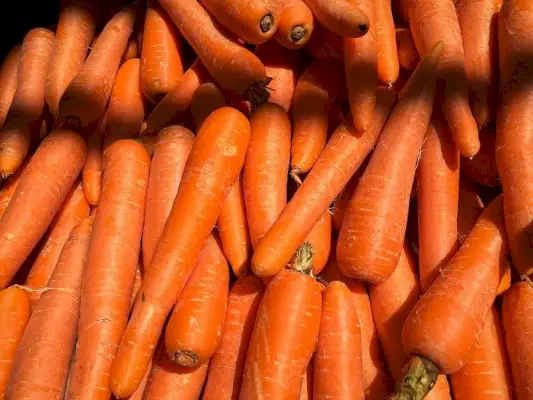 Egy halom friss sárgarépa, lendületes és egészséges snack.