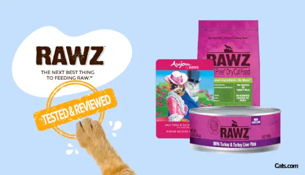 Revisão de comida de gato RAWZ