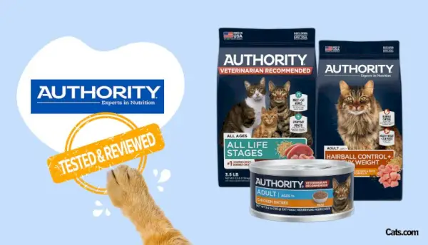 Authority Cat Food Review