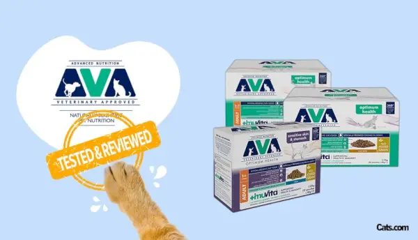 Examen de la marque de nourriture pour chats Ava