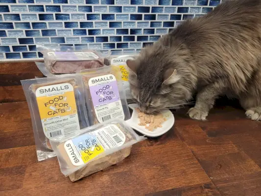 Smalls Cat Food Review