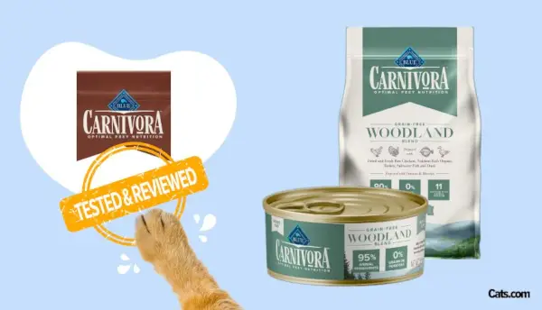 Blue Buffalo Carnivora Woodland Cat Food Brand anmeldelse