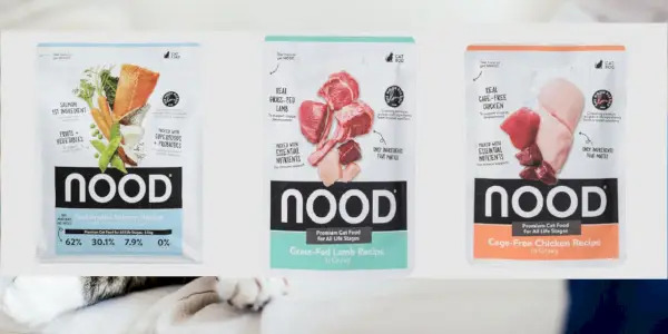 Nood Cat Food Review