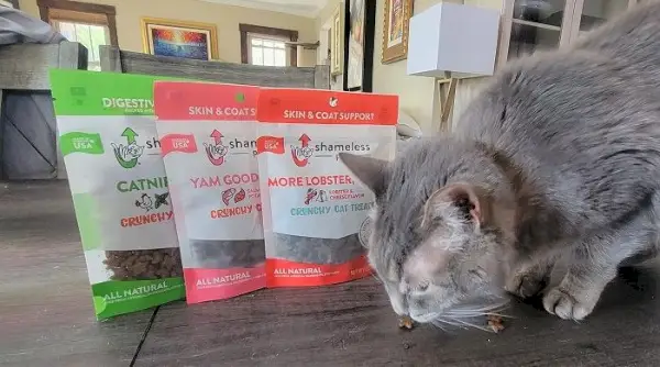 Shameless Pets Cat Treats -arvostelu