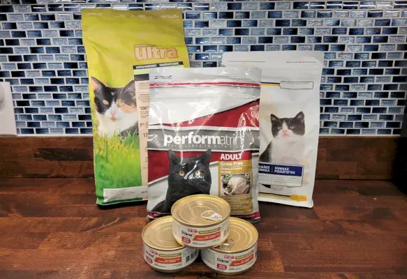 Revisión de comida para gatos Performatrin