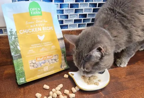 Comida para gatos criada adecuada