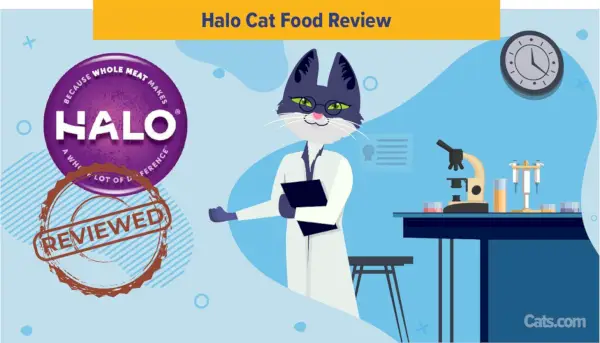 Halo Cat Food Review