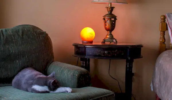 Um gato dormindo pacificamente ao lado de uma lâmpada de sal do Himalaia, capturando um momento sereno e aconchegante em um ambiente relaxante.