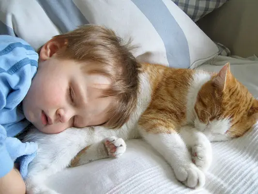 Een vertederend beeld van kinderen die tijd doorbrengen met katten.