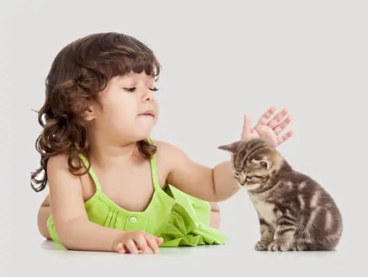 Una imagen de un niño y un gato entablando una tierna interacción.