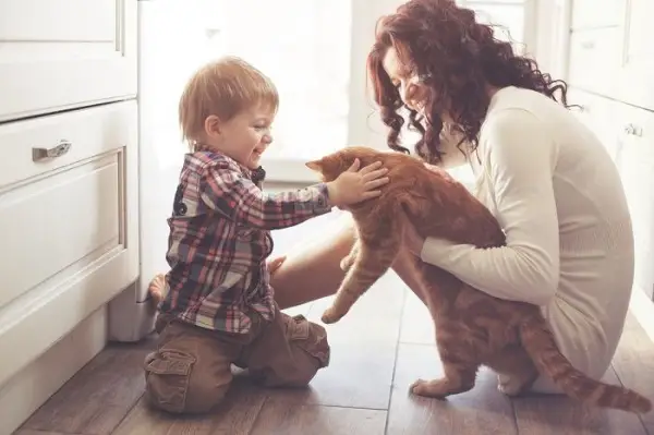 Ein liebenswertes Bild, das eine Katze und ein Kleinkind zeigt, die einen herzerwärmenden Moment teilen.