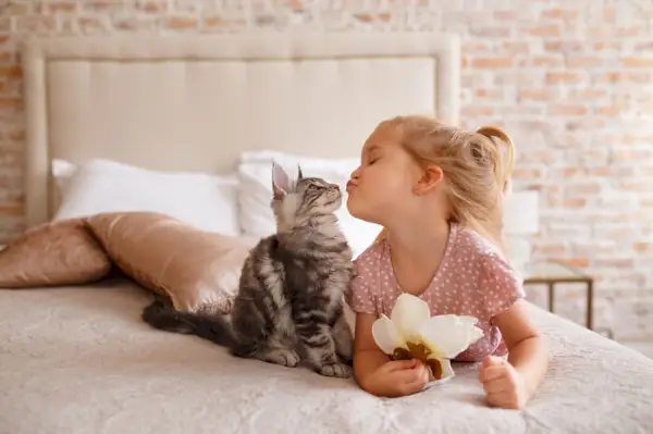 Une image représentant une fille interagissant avec un chat.