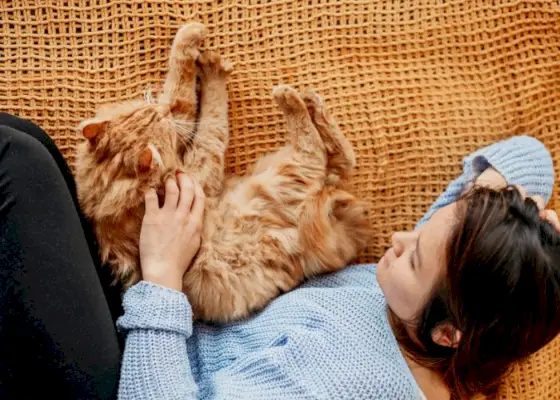 Un'immagine che raffigura una donna e un gatto arancione in un momento commovente.