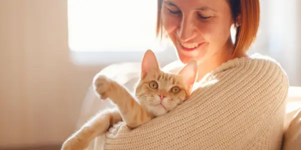 Een kat trainen die dat niet doet