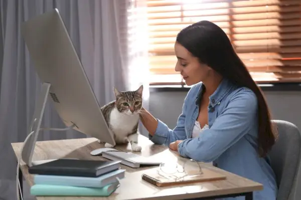 テーブルで猫をなでる若い女性