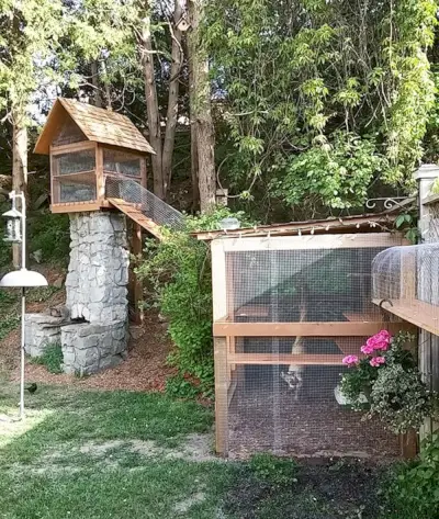 DIY Outdoor Cat Jungle Gym- Cuckoo 4 design