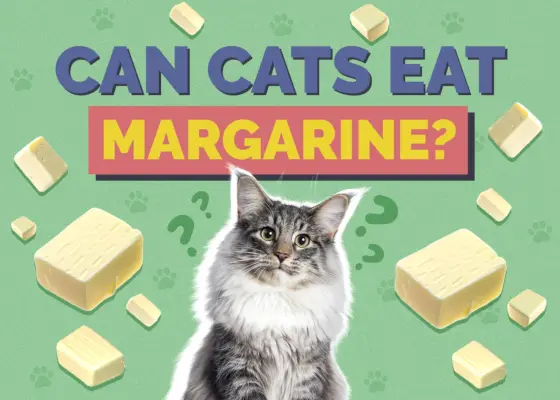 Kan katte spise margarine