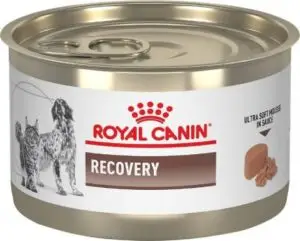 Royal Canin Veterinary Diet Recovery Mousse Ultra Suave em Molho Ração Molhada para Cães e Gatos