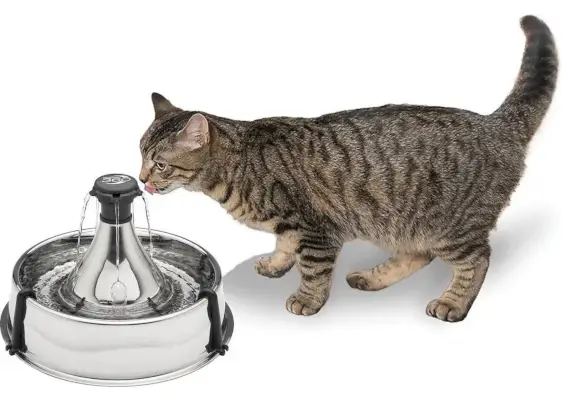 Pioneer Pet Swan Cat Trinkbrunnen