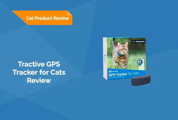 Tractive GPS-Tracker für Katzen im Test