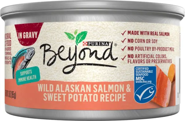 Purina Beyond Comida enlatada para gatos con salsa de salmón y camote