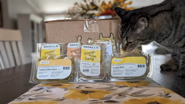 Ração enlatada para gatos com frango e coco em ouro maciço