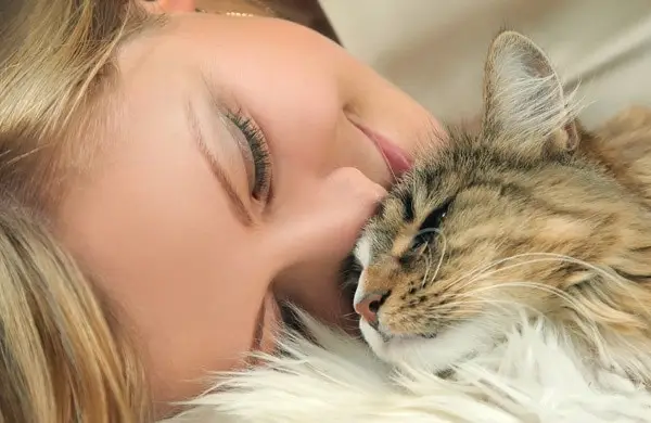 linda mujer joven con gato en el pelo